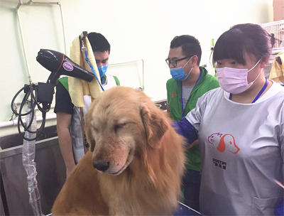 QQ截图20160422144339.png