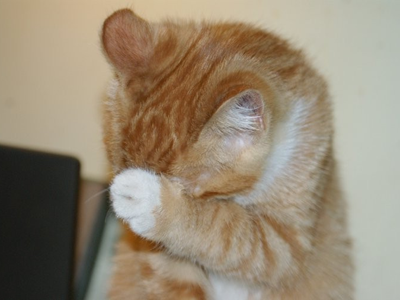 1470642744264635.png 猫咪洗脸.png
