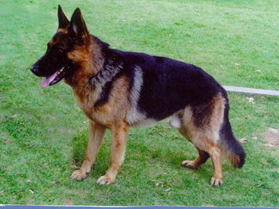 langgou2.jpg