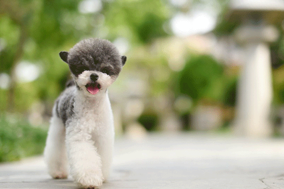 1505299528656992.gif fddddddddddddd.gif