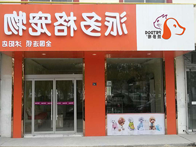 1553581657484746.jpg 400 300 (47).jpg